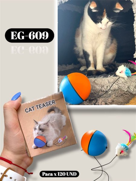 JUEGO PARA MASCOTAS EG-609