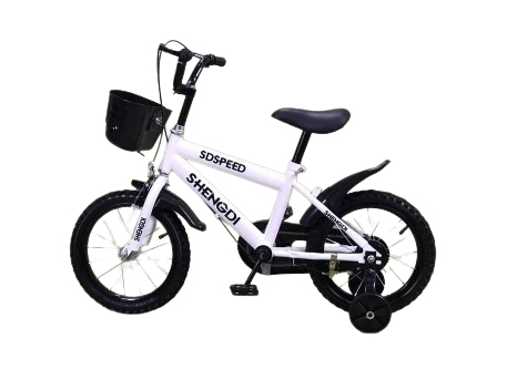 BICICLETA A2503-2265