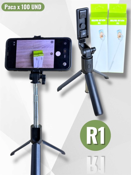 PALO DE SELFIE R1