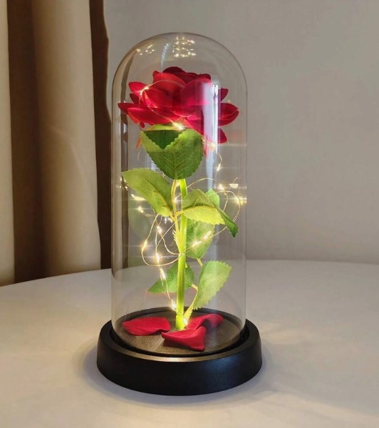 ROSA ETERNA V-1881