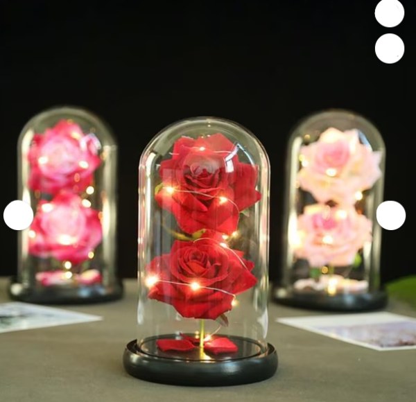 ROSAS ETERNAS V-1883